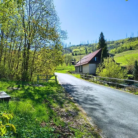 公寓 Harz-auszeit Mit Balkon & Bergblick