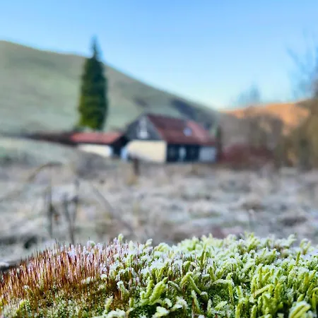 Harz-Auszeit Mit Balkon & Bergblick Appartement Osterode am Harz