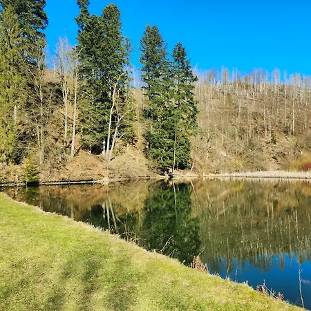 Harz-auszeit Mit Balkon & Bergblick *