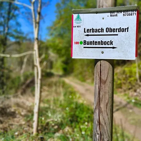 Harz-auszeit Mit Balkon & Bergblick 公寓 Osterode am Harz