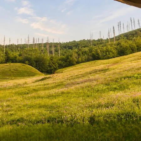 公寓 Harz-auszeit Mit Balkon & Bergblick Osterode am Harz